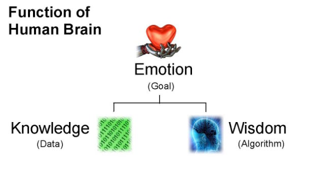 Function of Human Brain Emotion(Goal), Knowledge(Data), Wisdom(Algorithm)