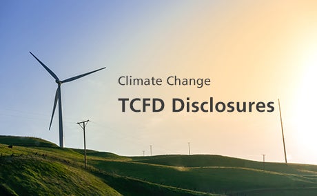 Climate-related Information Disclosures in accordance with the TCFD Recommendations